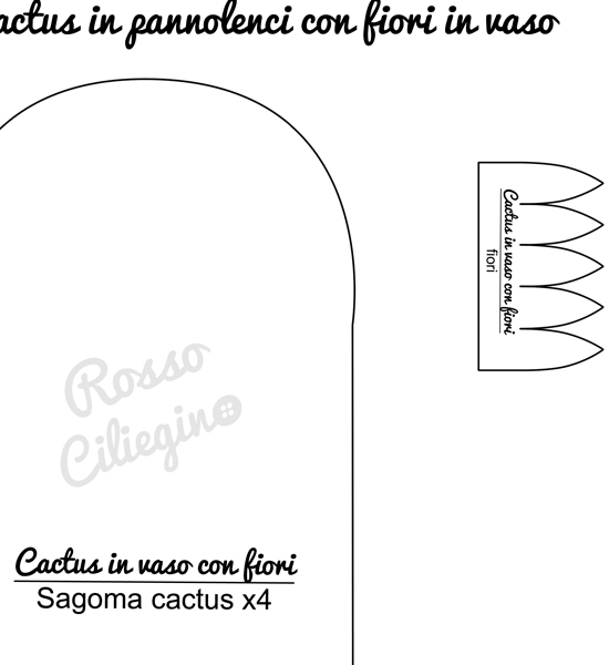 Cactus in vaso