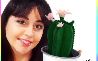 cactus in pannolenci Vaso