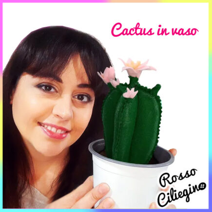cactus in pannolenci Vaso