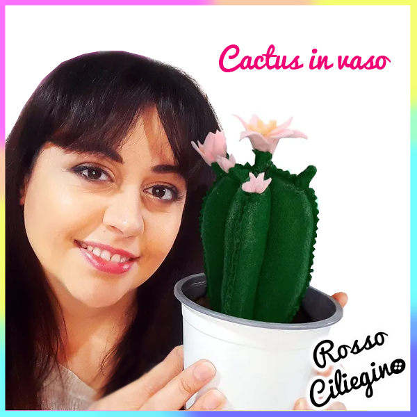 Cactus in pannolenci imbottito