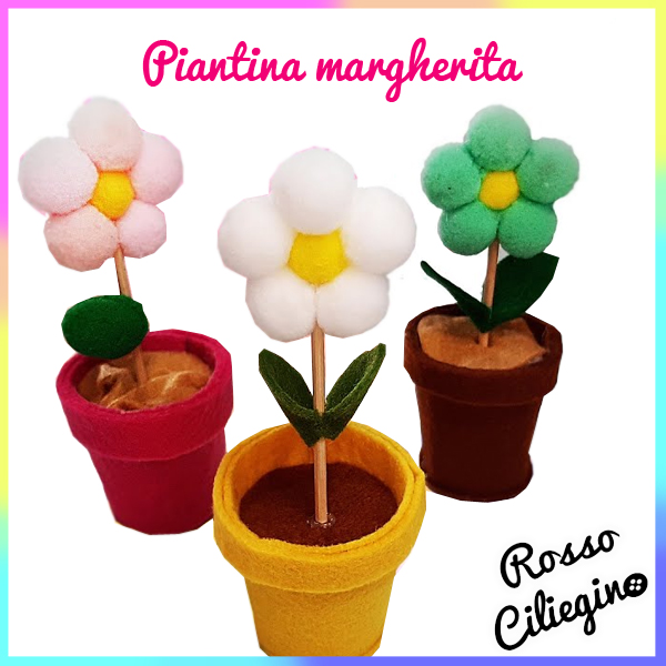 Margherite in vaso con i pompon