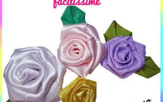 Rose in Raso Semplicissime