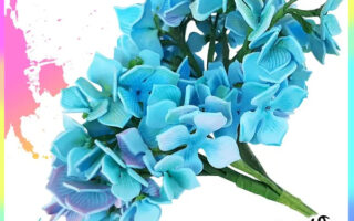 Ortensia blu con taglia biscotti