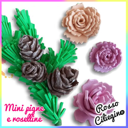 mini pigne e roselline